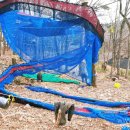 소백산자연휴양림 이미지