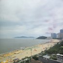 팔레드시즈 이미지