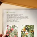 청송복숭아농장