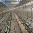 효산농장 이미지