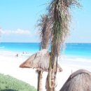 카리브해 이미지