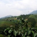 수만농장 이미지