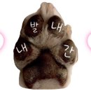 선수촌로 66 네이버블로그