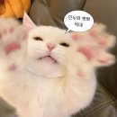 우박이네 | 프라하 겨울 스냅 후기 | 우박 맞으며 받은 프로포즈 실패기
