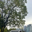 세븐틴코인노래연습장 종로3가점 이미지