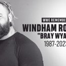 WWE 슈퍼스타 브레이 와이어트가 36세의 나이로 사망하다 이미지