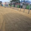 포산초등학교 이미지