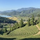 보성매점 이미지