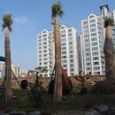 연못식당 이미지