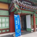 비단바라기 이미지