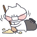꽃냥