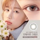 단델리온(Dandelion) 이미지
