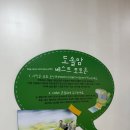 초록여행 | [전남/해남 여행] 초록빛 힐링 가득한 '두륜미로파크' 다녀온 후기! 🌳✨