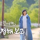 보고 이미지