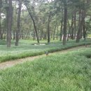 상오리 마을회관 이미지