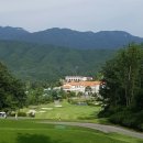 엑스골프 네이버블로그