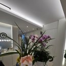 부평바른내과의원 이미지