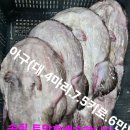 임여사수산 이미지