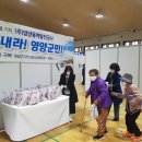 영양방역공사 Daum카페