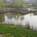 엽순공원(1) 이미지