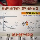 봉평고향막국수 이미지