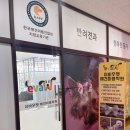 525그루밍 | 분당애견미용학원 6개월만에 자격증 취득후기