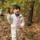 송현유치원 이미지