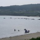 베이테라스 이미지