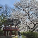 용흥마을3가 이미지