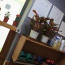 건강백세안마원 이미지