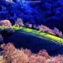 천산카페 이미지