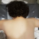 디오 에스테틱