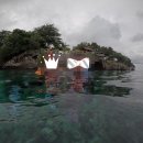 Bohol 4박 6일 여행일기 Day 2,3,4