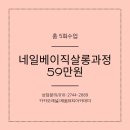 네일베이직 네이버블로그