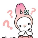 88완당집 네이버블로그
