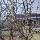 호암리버빌아파트 이미지