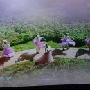 가화만사흥 이미지