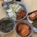 용인 미르힐 티스토리