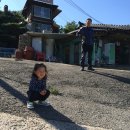 퇴촌찜매운탕 네이버블로그