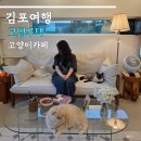 고영주택 | 김포가볼만한곳 고양이카페 고영주택 힐링 방문 후기