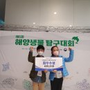 솔밭초교 이미지
