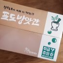 샤인푸릇 네이버블로그