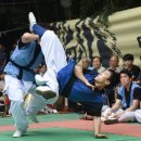 이크