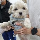 도원주유소 이미지