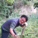 해광농장 이미지