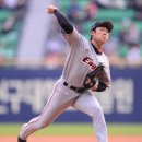 배영수 카카오 검색결과