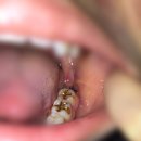 서울상아치과의원 이미지