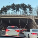 분당백화점약국 | 임재범 40주년 수원 콘서트 "나는 임재범이다" 후기