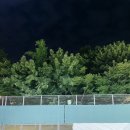 양재테니스장 예약방법, 양재테니스 레슨 후기 정보 공유할게요