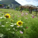 소원면주민자치센터 이미지